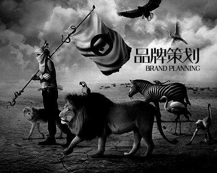 品牌策划 